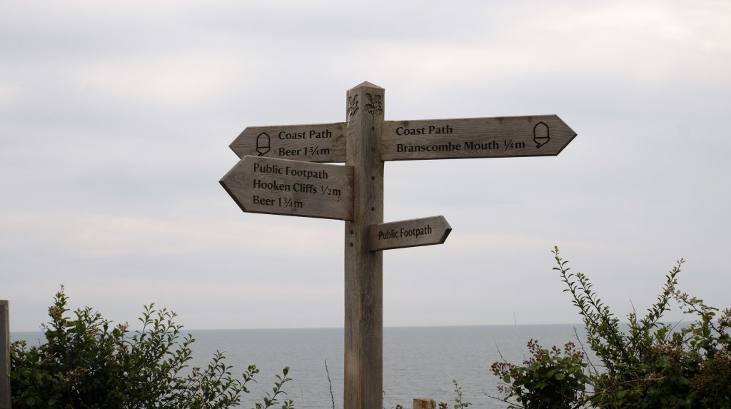 What are the different kinds of Offshoring?