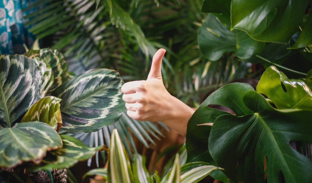 What are the main advantages of Offshoring?