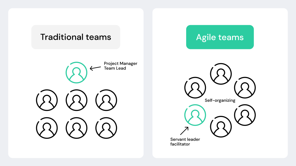 structure-agile-team