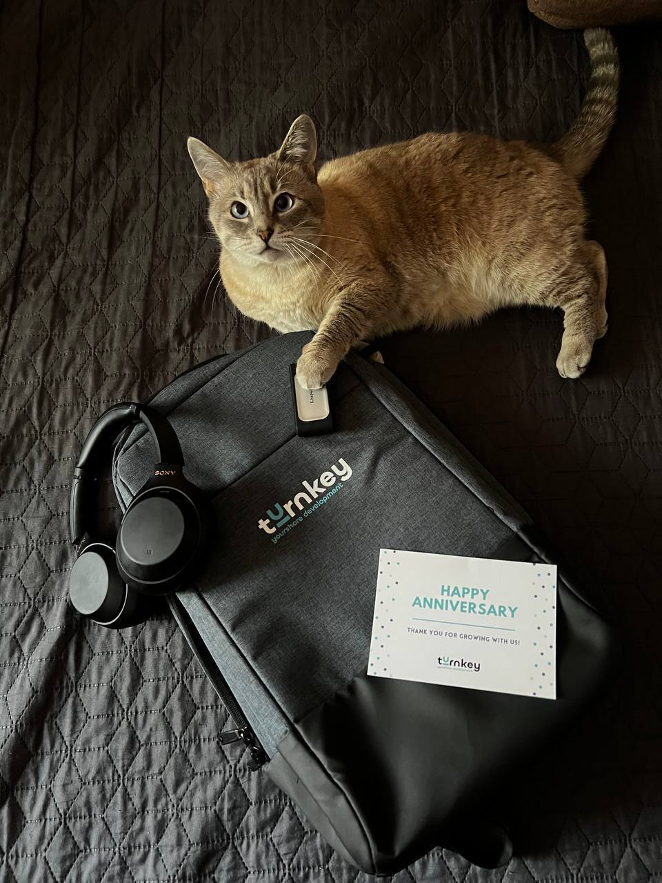 photo 2023 10 06 12 02 00 2