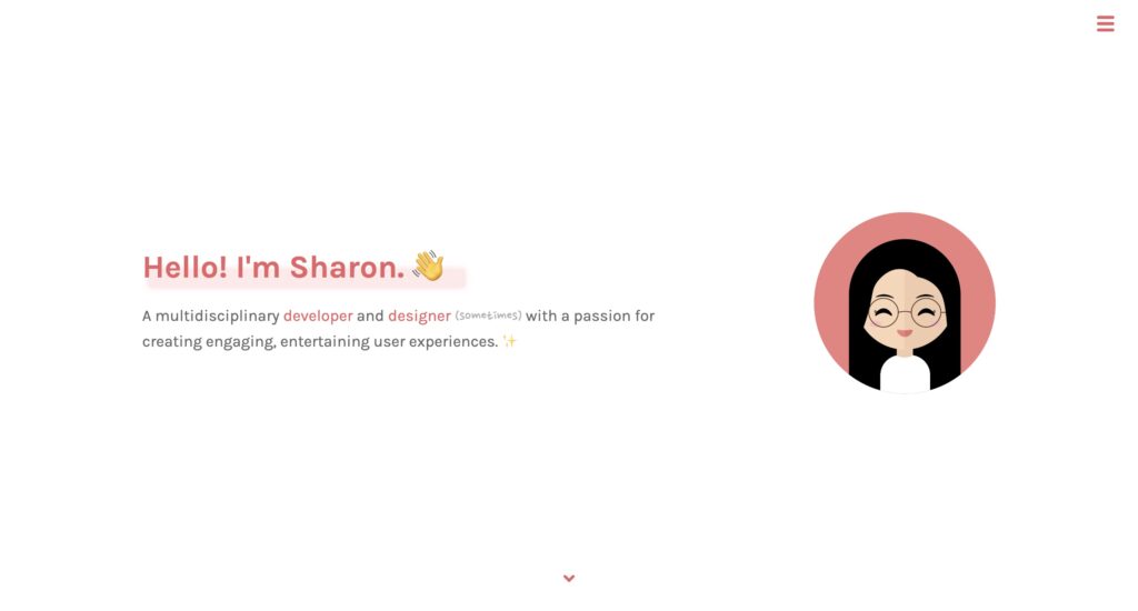 portfolio website programmer